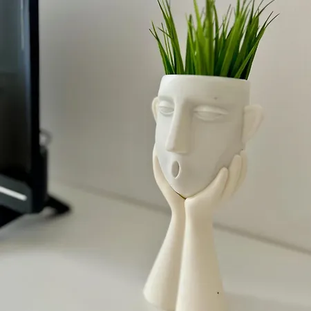 Zar 6 ترييستي