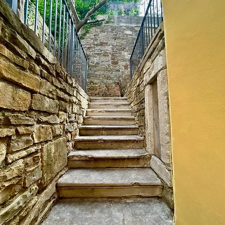 Zar 6 * Τεργέστη